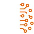 cat-icn_brain